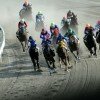 16年3月16(水) 南関競馬予想 大井11R 京浜盃(SⅡ)